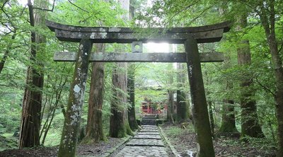 ⛩️ 닛코 후타라산 신사 별궁 다키노오 신사